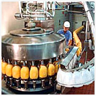 Food Processing Plants