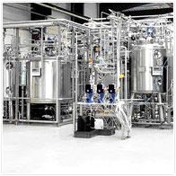 Pharmaceutical Plants